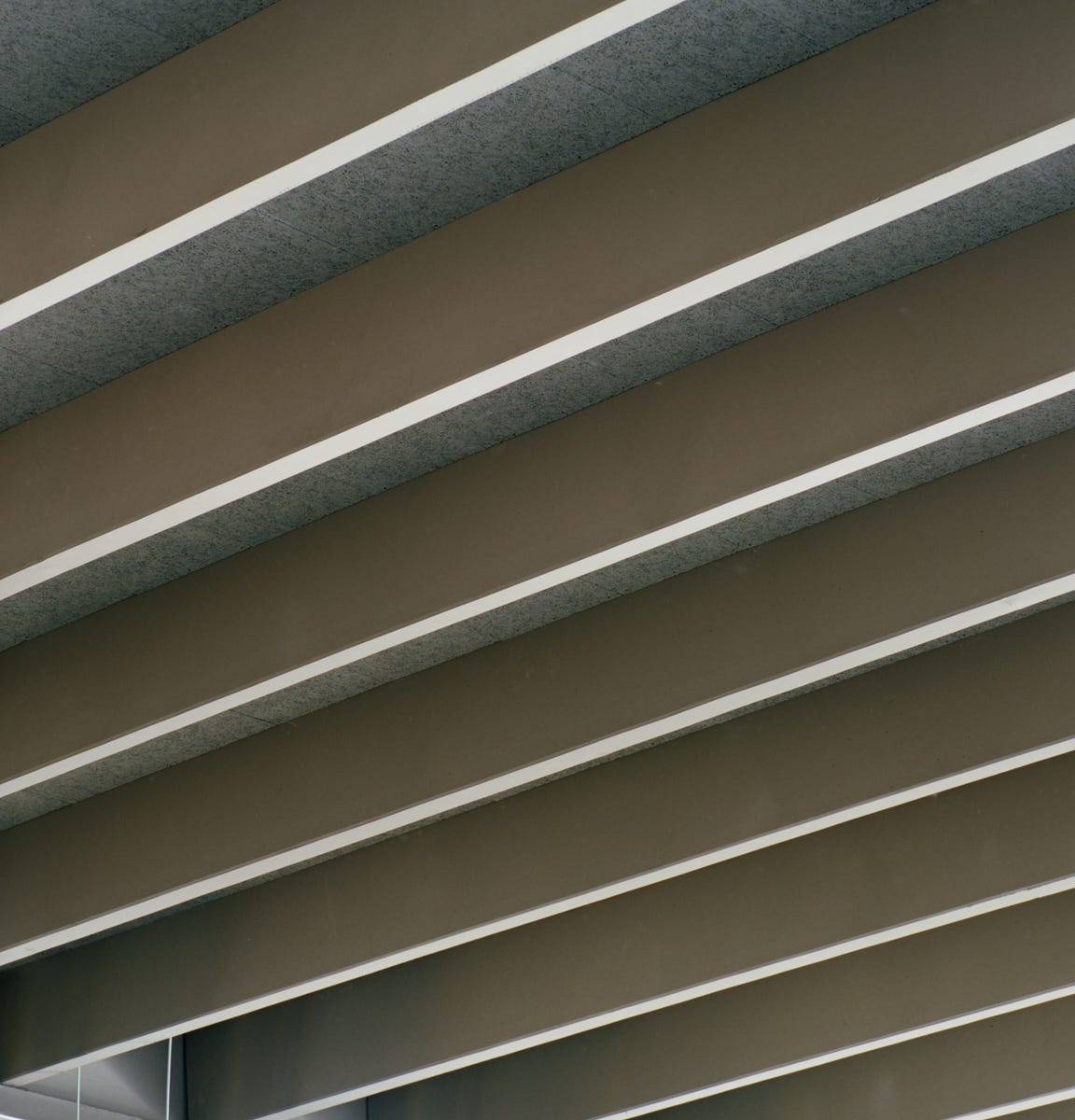 Foto esterni della nuova palestra scolastica a Merate (LC), progettata da MD41, edificio su un piano con grande vetrata e design contemporaneo.